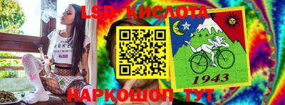 гашик Малгобек
