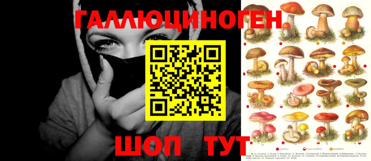 Псилоцибиновые грибы мухоморы Приморско-Ахтарск