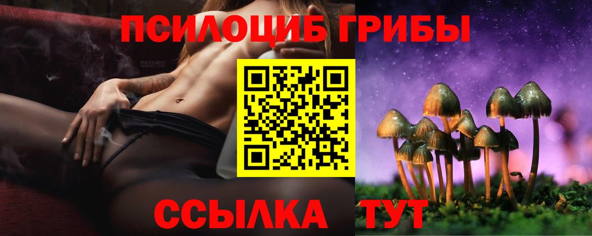 Галлюциногенные грибы ЛСД  Вход с VPN  Приморско-Ахтарск 